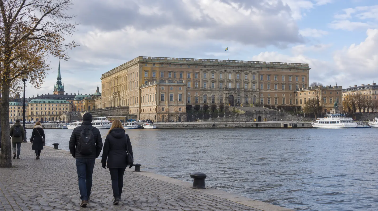 Edvin Endre om kungens kritik mot ”Queen Silvia”: ”Hemskt”