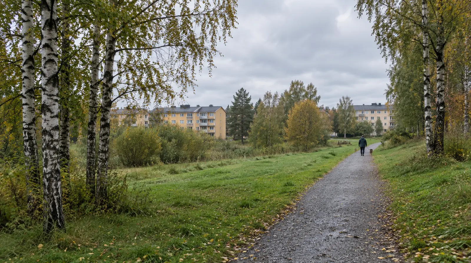 Polisen har hållit 250 vittnesförhör efter barnvåldtäkten i Järfälla