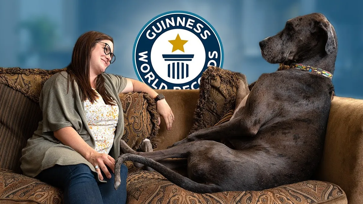 Världens största hund: Rekord, raser och allt du behöver veta